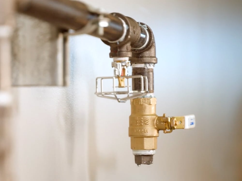 Compare_How to Choose_1000x745